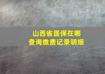 山西省医保在哪查询缴费记录明细