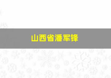 山西省潘军锋