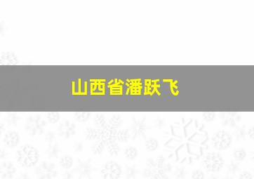 山西省潘跃飞