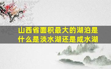 山西省面积最大的湖泊是什么是淡水湖还是咸水湖