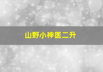 山野小神医二升