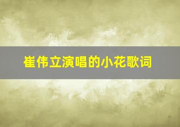 崔伟立演唱的小花歌词