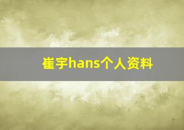 崔宇hans个人资料