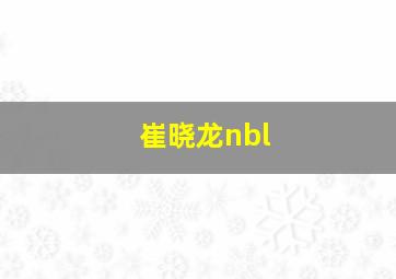 崔晓龙nbl