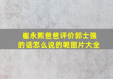 崔永熙爸爸评价郭士强的话怎么说的呢图片大全