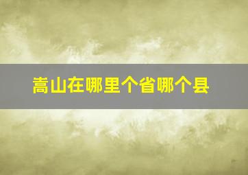 嵩山在哪里个省哪个县