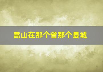 嵩山在那个省那个县城