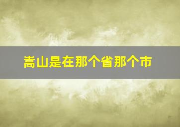 嵩山是在那个省那个市