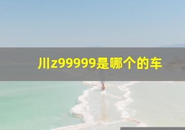 川z99999是哪个的车