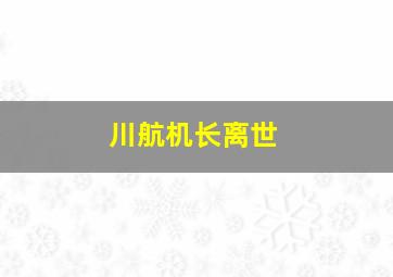 川航机长离世