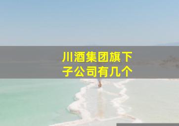 川酒集团旗下子公司有几个