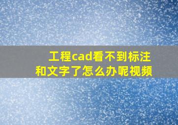 工程cad看不到标注和文字了怎么办呢视频