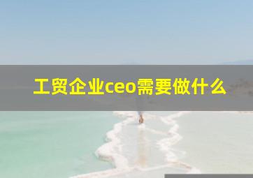 工贸企业ceo需要做什么