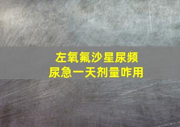 左氧氟沙星尿频尿急一天剂量咋用