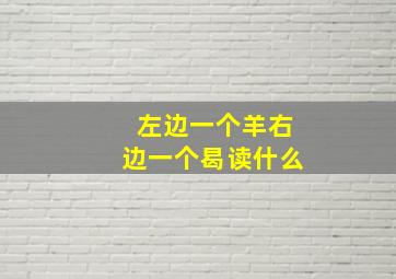 左边一个羊右边一个曷读什么