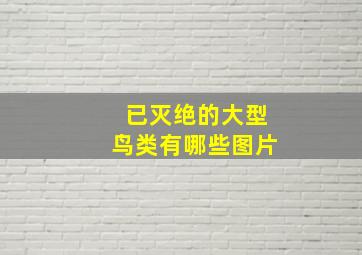 已灭绝的大型鸟类有哪些图片