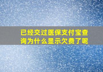 已经交过医保支付宝查询为什么显示欠费了呢