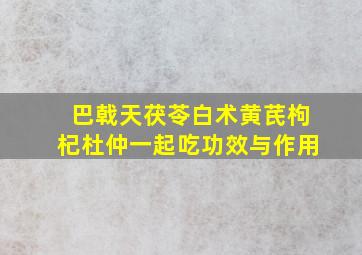 巴戟天茯苓白术黄芪枸杞杜仲一起吃功效与作用