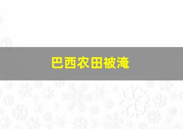 巴西农田被淹