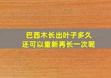 巴西木长出叶子多久还可以重新再长一次呢