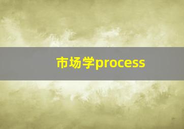 市场学process