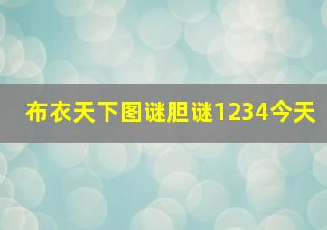 布衣天下图谜胆谜1234今天