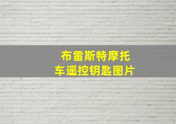 布雷斯特摩托车遥控钥匙图片