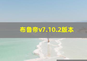 布鲁帝v7.10.2版本