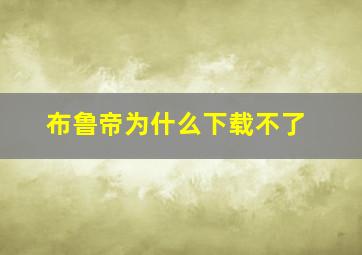 布鲁帝为什么下载不了