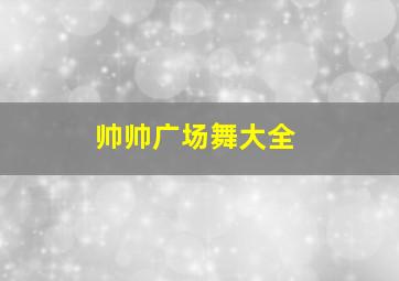 帅帅广场舞大全