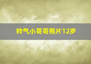 帅气小哥哥照片12岁