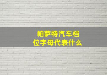 帕萨特汽车档位字母代表什么