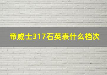 帝威士317石英表什么档次