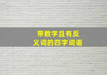 带数字且有反义词的四字词语