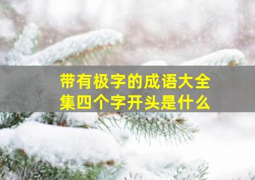 带有极字的成语大全集四个字开头是什么