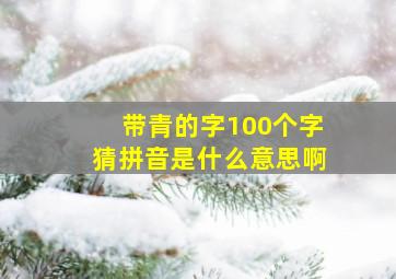 带青的字100个字猜拼音是什么意思啊