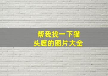 帮我找一下猫头鹰的图片大全