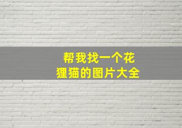 帮我找一个花狸猫的图片大全