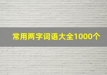 常用两字词语大全1000个