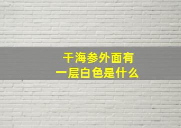 干海参外面有一层白色是什么