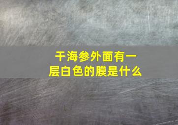 干海参外面有一层白色的膜是什么