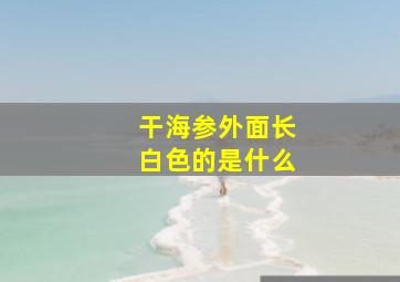 干海参外面长白色的是什么