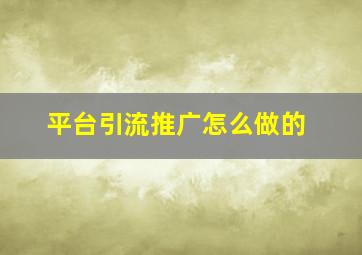 平台引流推广怎么做的