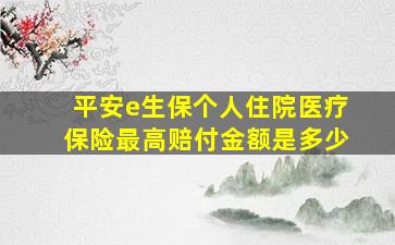 平安e生保个人住院医疗保险最高赔付金额是多少