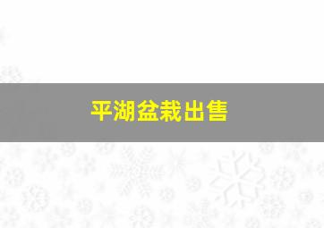 平湖盆栽出售