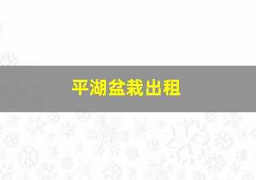 平湖盆栽出租