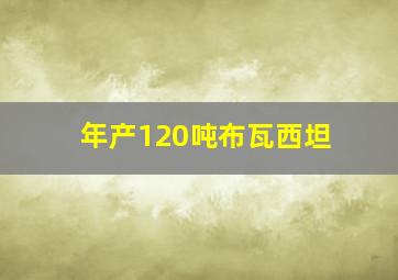 年产120吨布瓦西坦