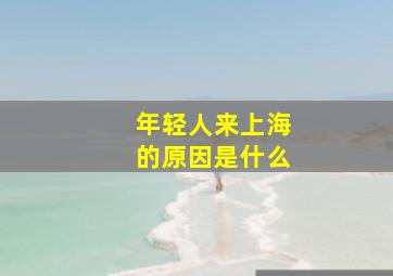 年轻人来上海的原因是什么