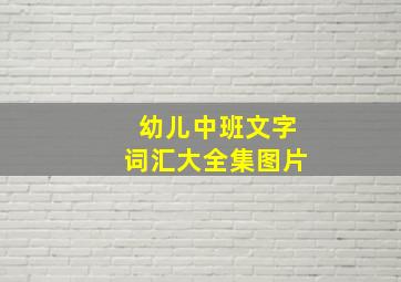 幼儿中班文字词汇大全集图片