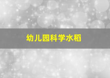 幼儿园科学水稻